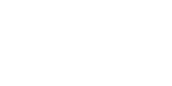 לוגו essence partners